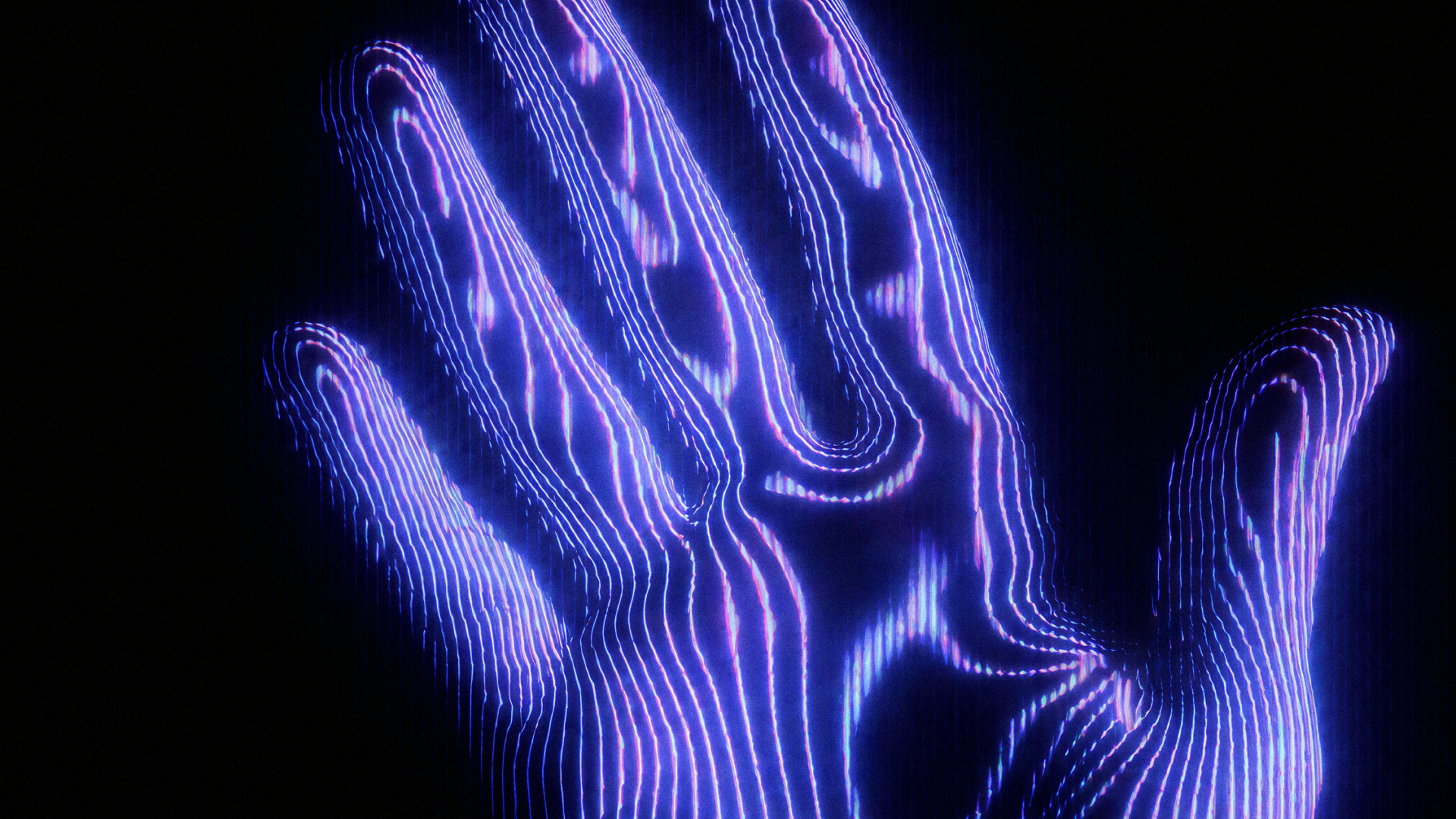 Installations & experiences